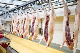 Giết mổ lợn, gia cầm